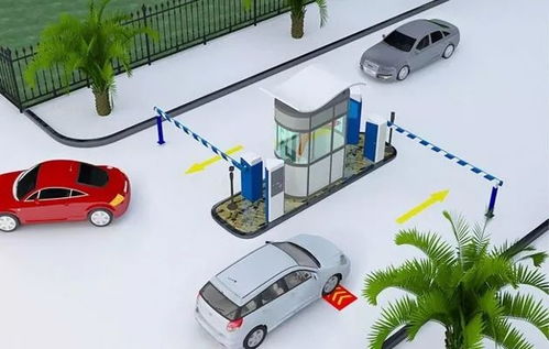 雙流區政府推出環保治理項目，破解停車難問題