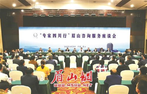 專家四川行 眉山咨詢服務座談會成功舉行，共繪發展新藍圖